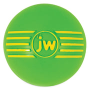 JW ISqueak Ball Dog Toy