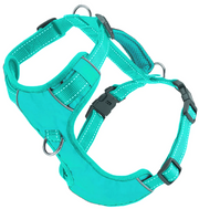 BayDog Chesapeake Dog Harness-Sea Foam