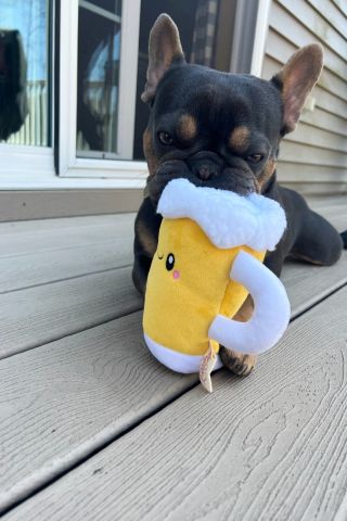 Original Territory BEER WITH SQUEAKER Dog Toy