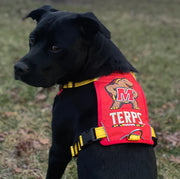 BayDog College Dog Harness- Maryland