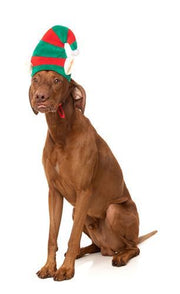 Fuzzyard Good Boy Elf Hat Dog Costume