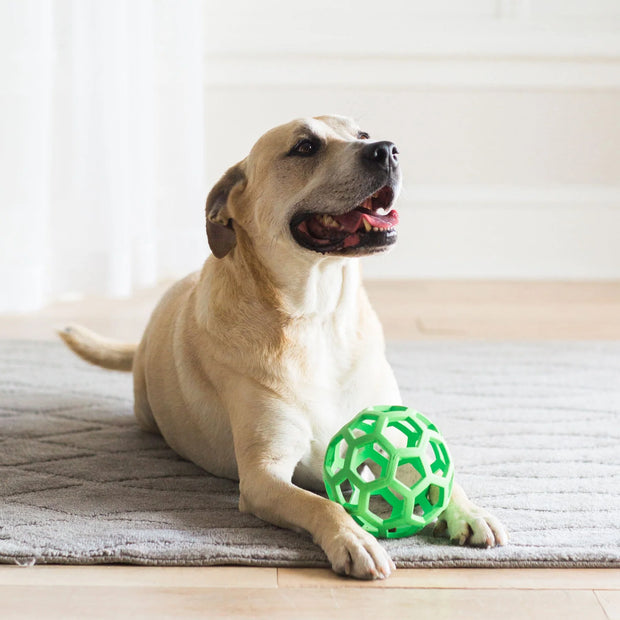 JW Crackle Heads Ball Dog Toy