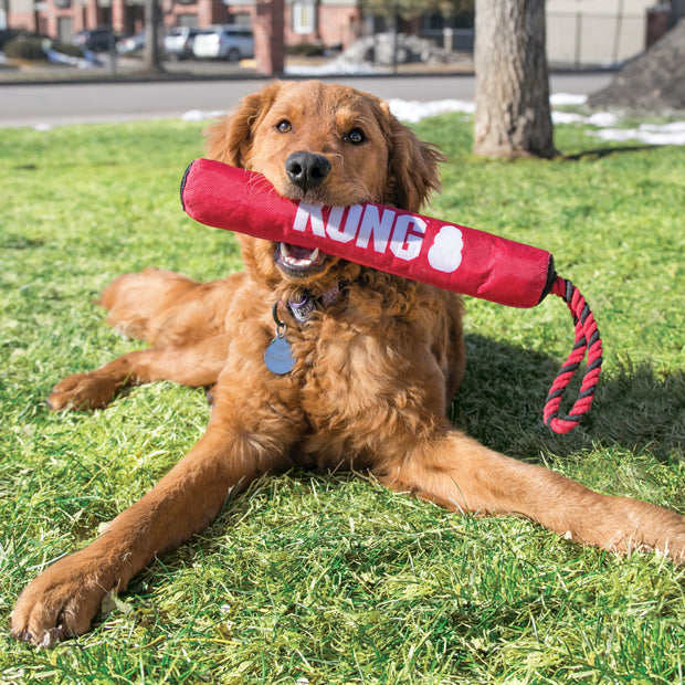 Kong Signature Stick with Rope Dog Toy