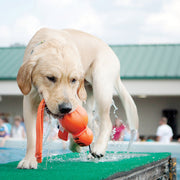 KONG Wet Floating Wubba Dog Toy