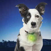 NiteIze Spotlit Collar Light - Green