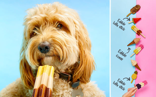 Pup Ice Fruity Lollies Ready to Freeze Dog Ice Cream -3 Pk  Pineapple Flavor