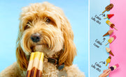 Pup Ice Rocket Lollies Ready to Freeze Dog Ice Cream -2 Pk  Strawberry and Banana Flavor