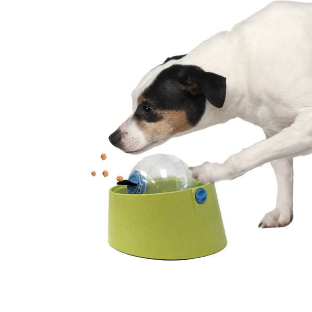 Ethical Dog Seek a Treat Puzzle Ball