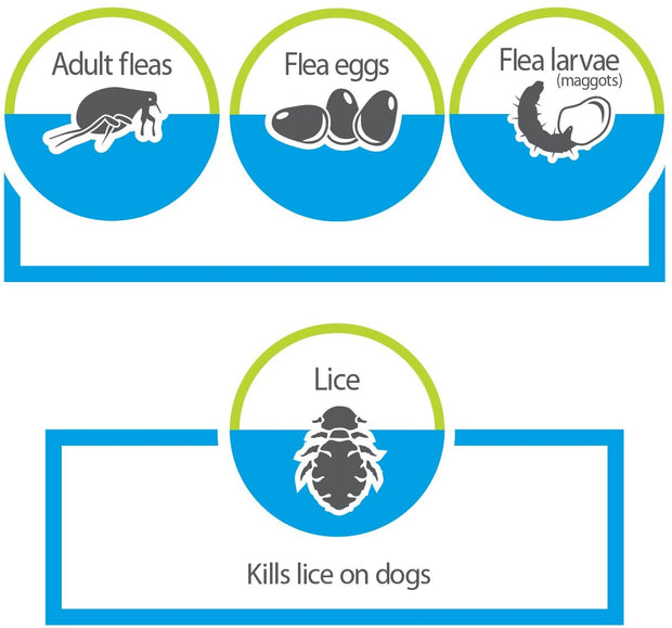 Bayer Advantage Flea, Tick, Dust Mite, & Bed Bug Carpet & Upholstery Spray, 16 Oz