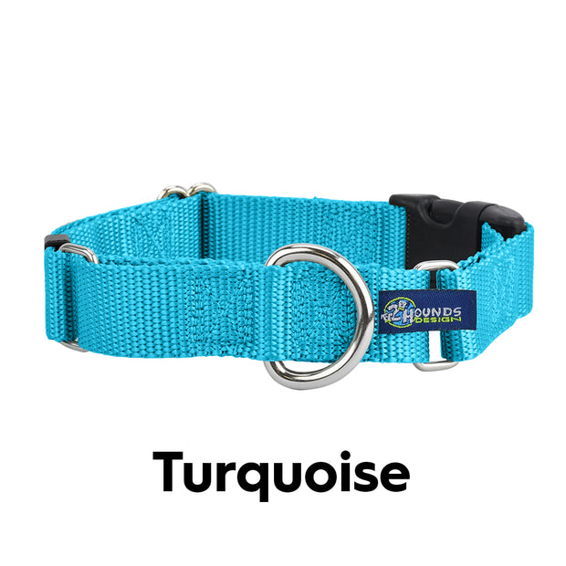 2HOUNDSDESIGN Keystone Nylon Martingale Collar -  Turquoise - MADE IN THE USA