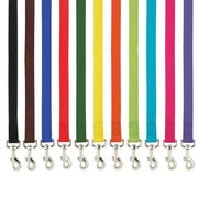 Casual Canine Lead 6' Dog Leash- Various Colors