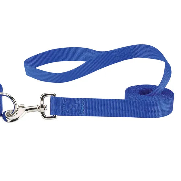 Casual Canine Lead 6' Dog Leash- Various Colors