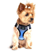 Doggie Designs American River Choke Free Harness Ombre Midnight Sky