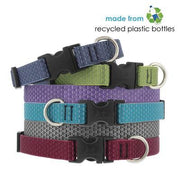 LupinePet Eco Dog Collar and Dog Leash - Moss- MADE IN THE USA