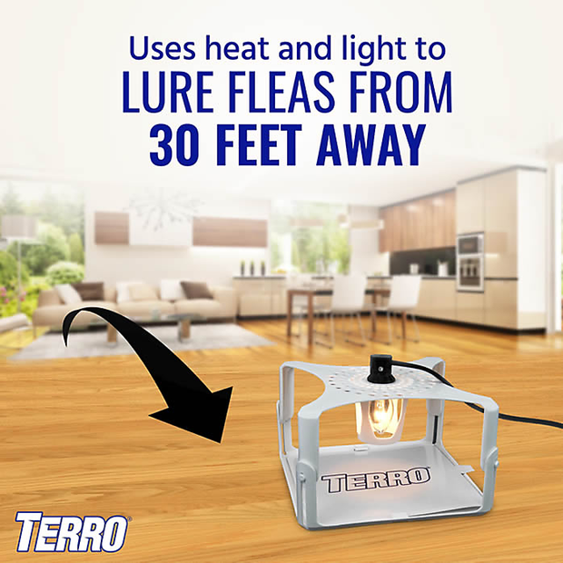 Terro Flea Trap