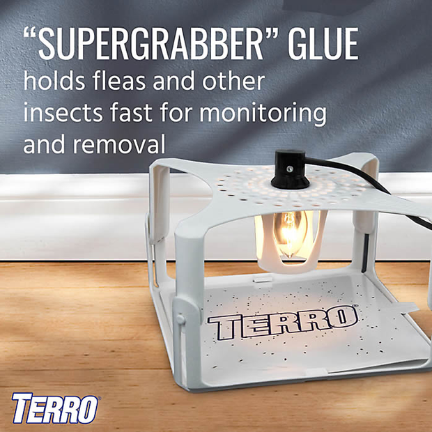 Terro Flea Trap