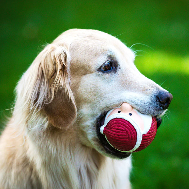 Hugglehounds Santa Ruff- Tex Ball Dog Toy