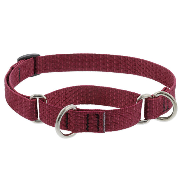 LupinePet Eco Dog Collar and Dog Leash - Berry- MADE IN THE USA