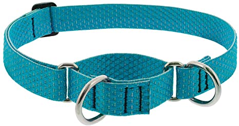 LupinePet Eco Dog Collar and Dog Leash - Tropical Sea- MADE IN THE USA