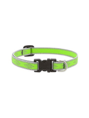 LupinePet High Light Dog Collar and Dog Leash - Green Diamond - MADE IN THE USA