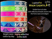 LupinePet High Light Dog Collar and Dog Leash - Pink Diamond - MADE IN THE USA