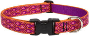 LupinePet Dog Collar and Dog Leash - Aspen Glow- MADE IN THE USA