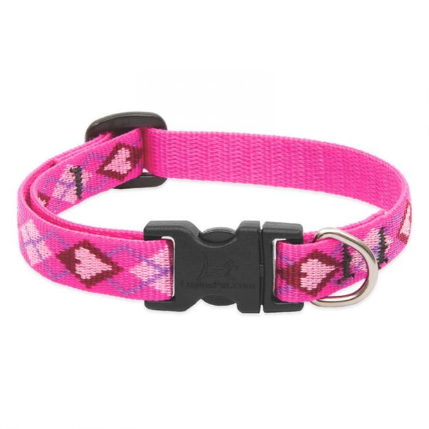 LupinePet Dog Collar and Dog Leash - Puppy Love- MADE IN THE USA