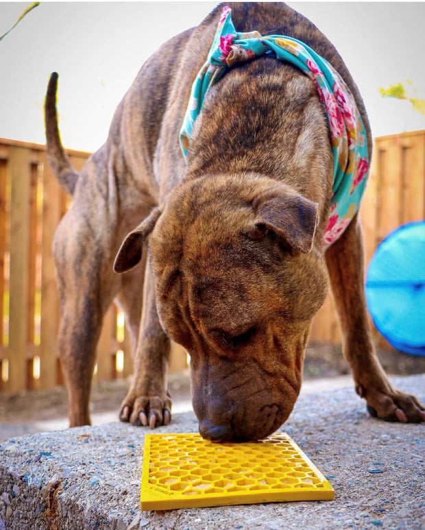 SodaPup Emat Honey Enrichment Lick Mat for Dogs